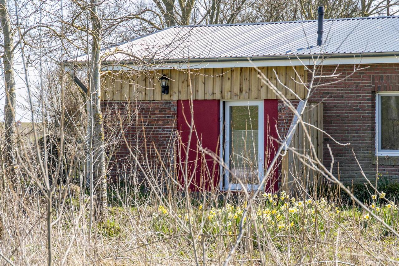 Deichgraf 1 Lägenhet Friedrichskoog Exteriör bild