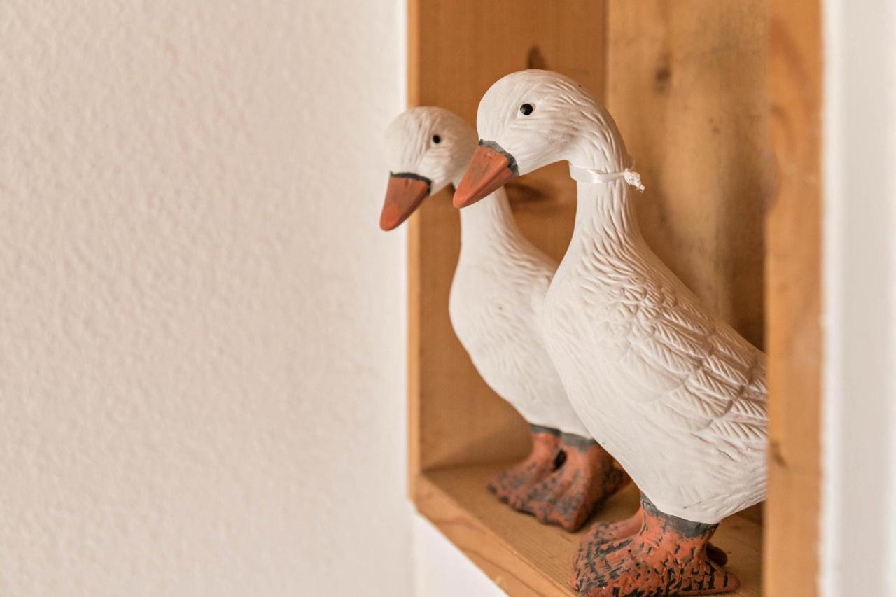 Deichgraf 1 Lägenhet Friedrichskoog Exteriör bild