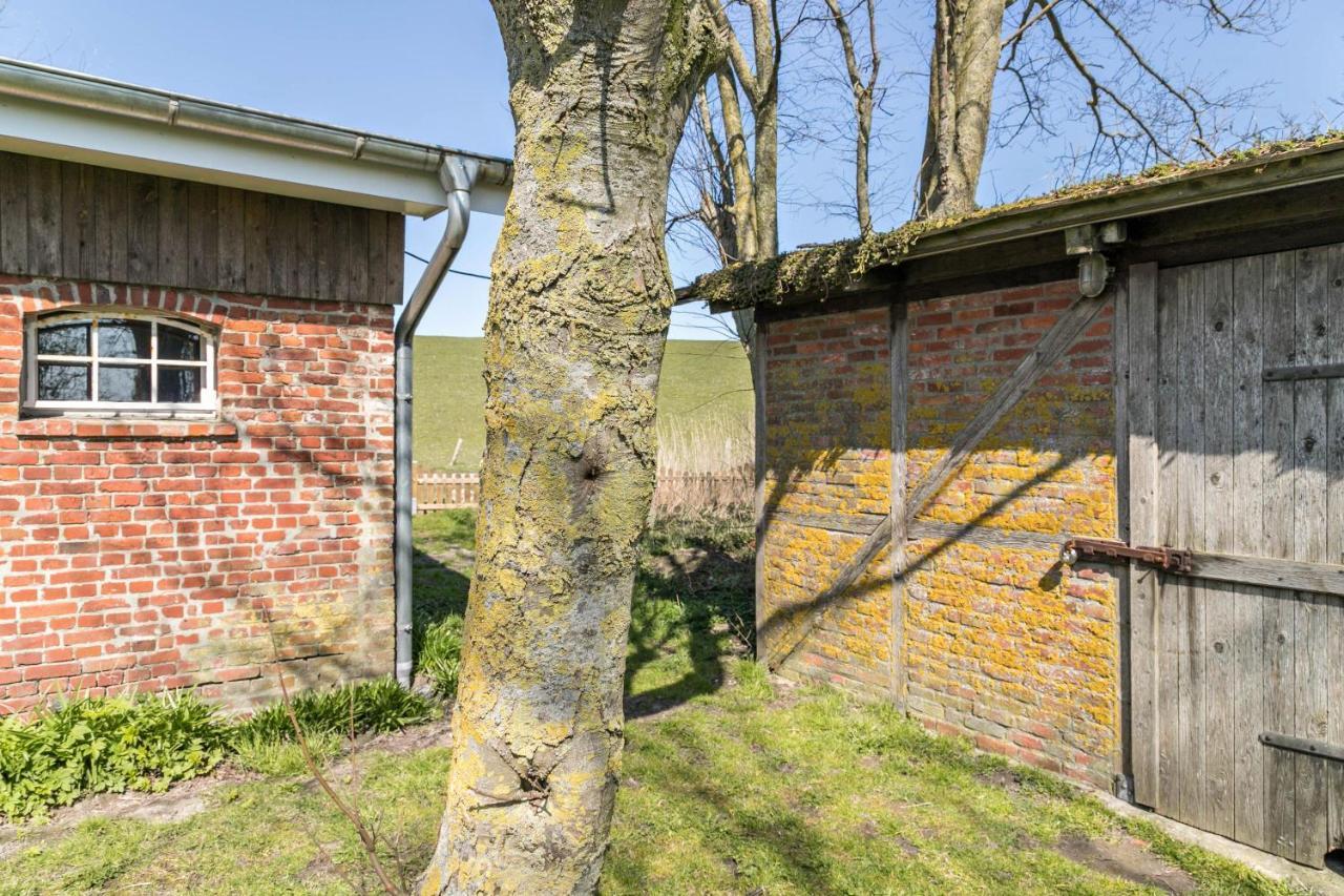Deichgraf 1 Lägenhet Friedrichskoog Exteriör bild