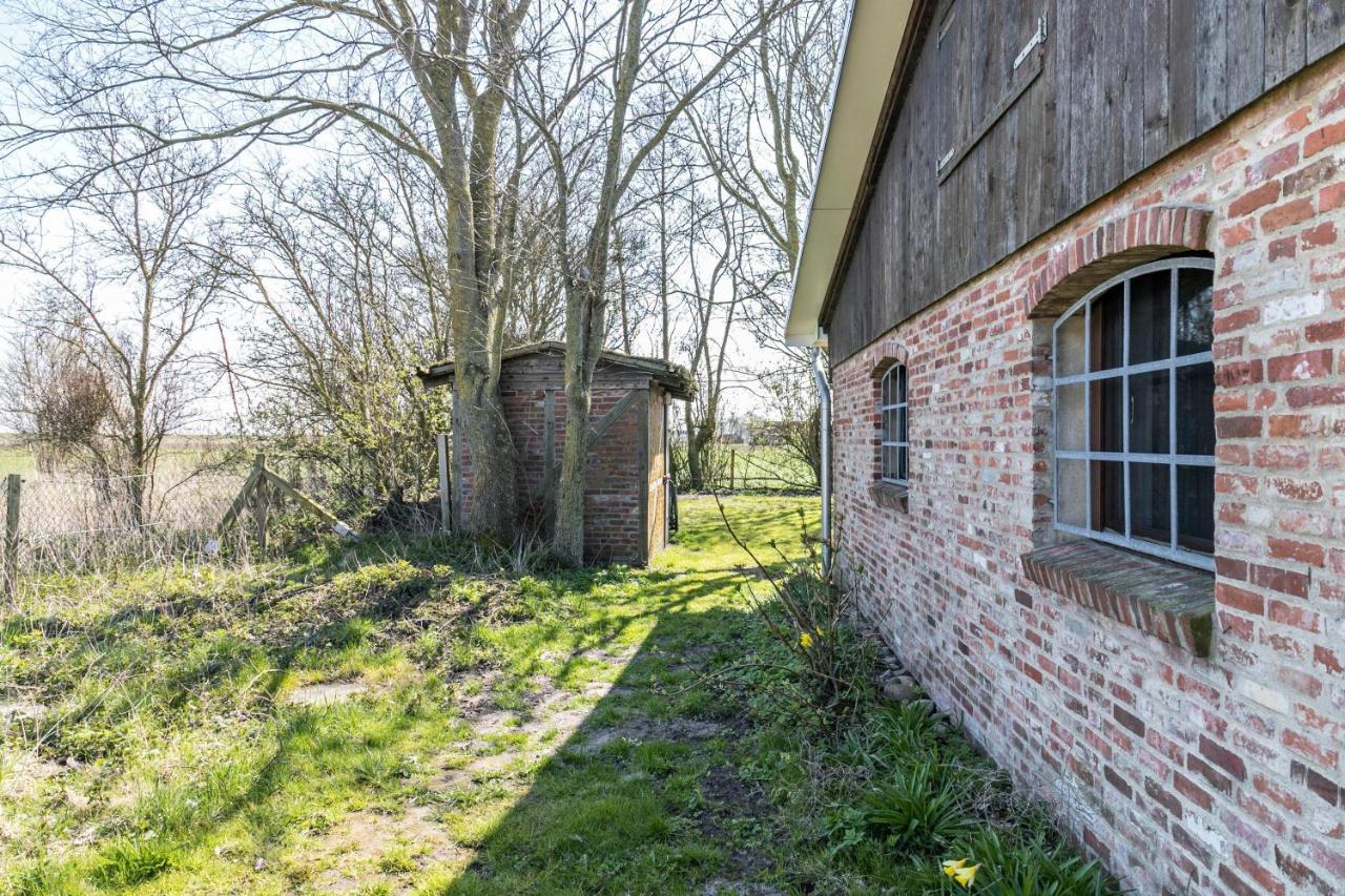 Deichgraf 1 Lägenhet Friedrichskoog Exteriör bild
